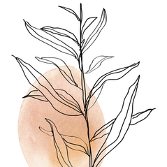 Decorative